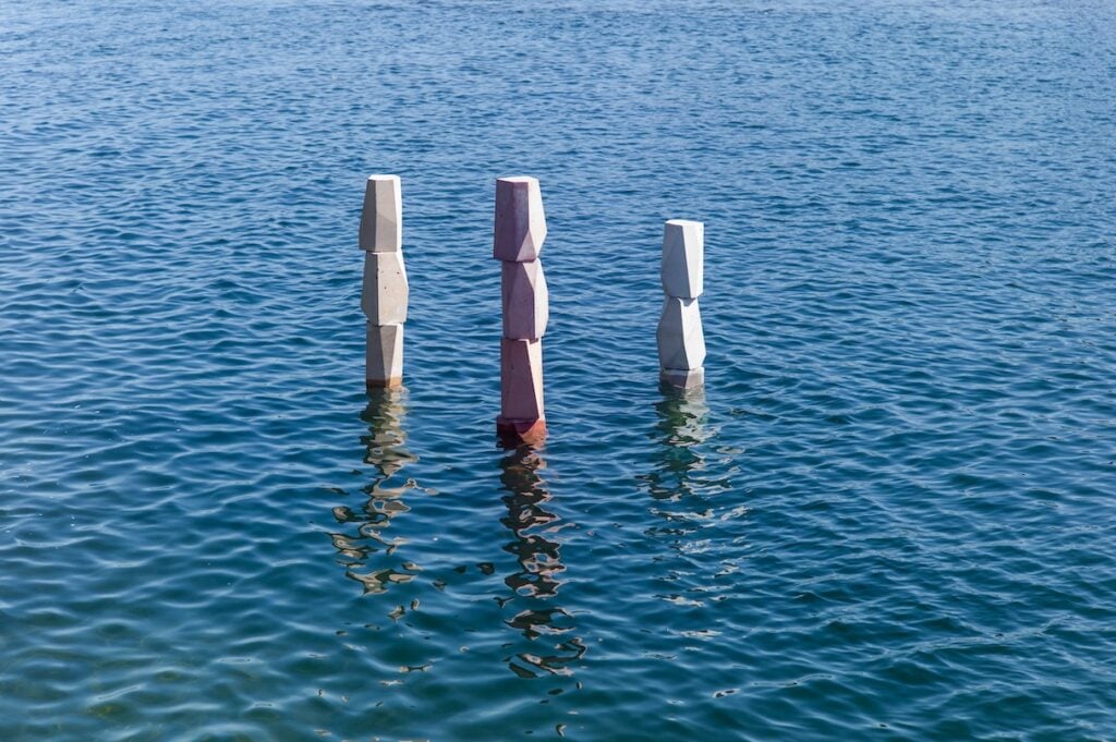 Superflex – There Are Other Fish In The Sea