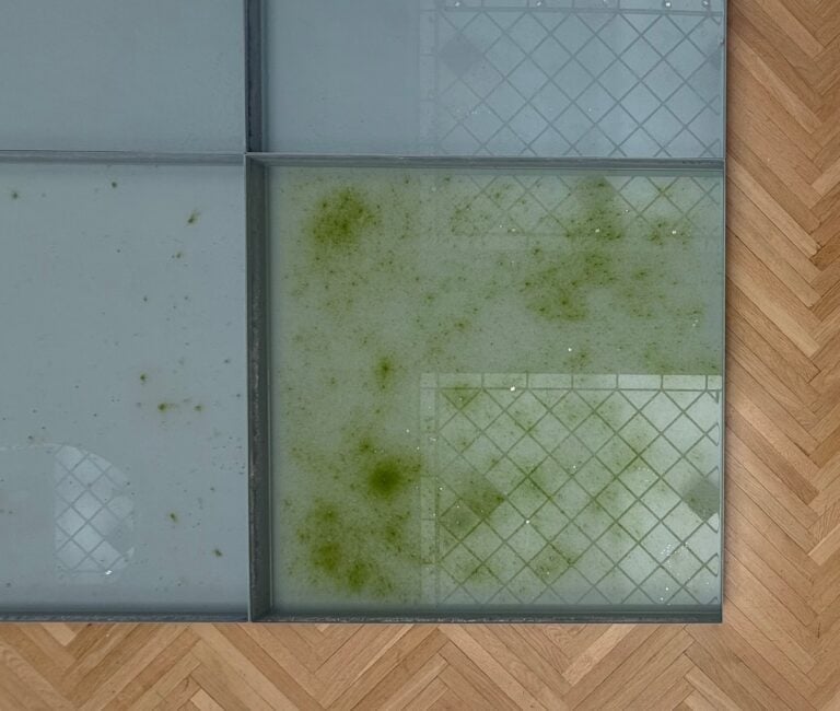 La muffa nel "mare" di Pino Pascali alla GNAMC di Roma. Foto di Laura Carlotta Cortoni