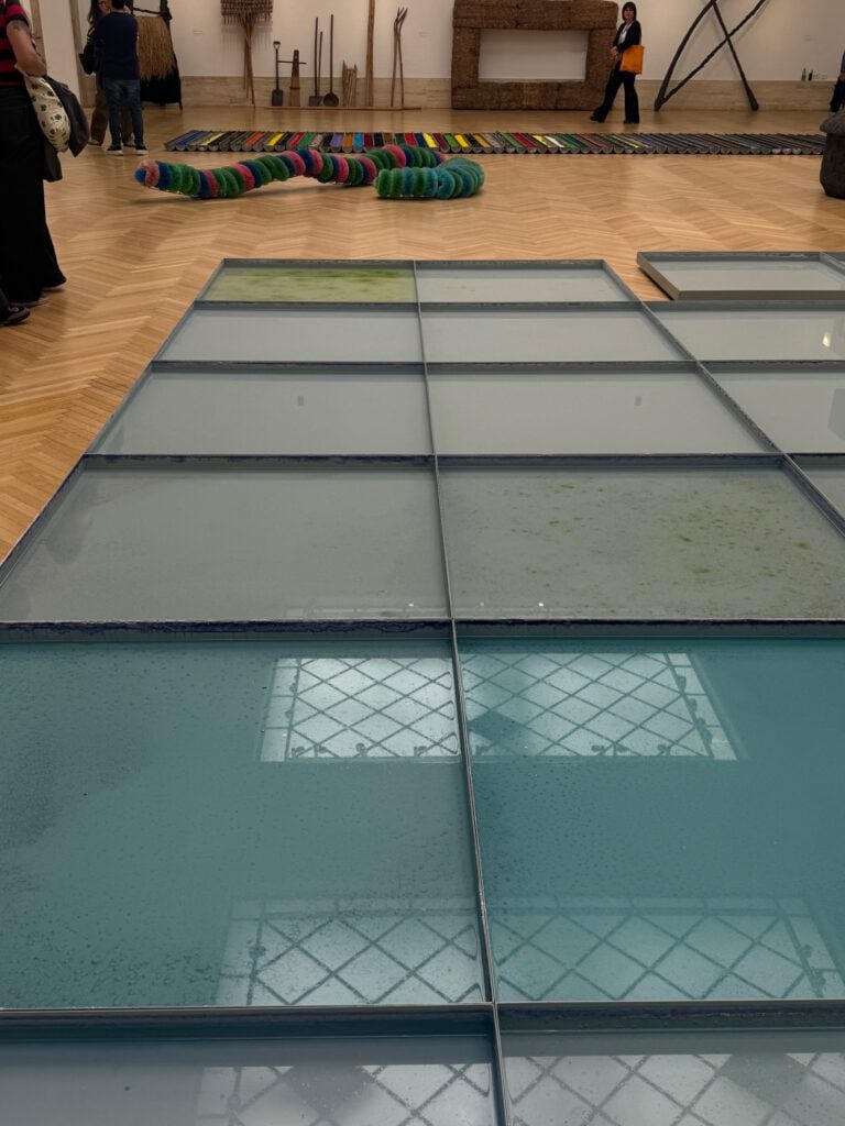 La muffa nel "mare" di Pino Pascali alla GNAMC di Roma. Foto di Laura Carlotta Cortoni