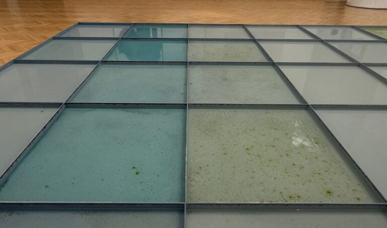 La muffa nel "mare" di Pino Pascali alla GNAMC di Roma. Foto di Laura Carlotta Cortoni