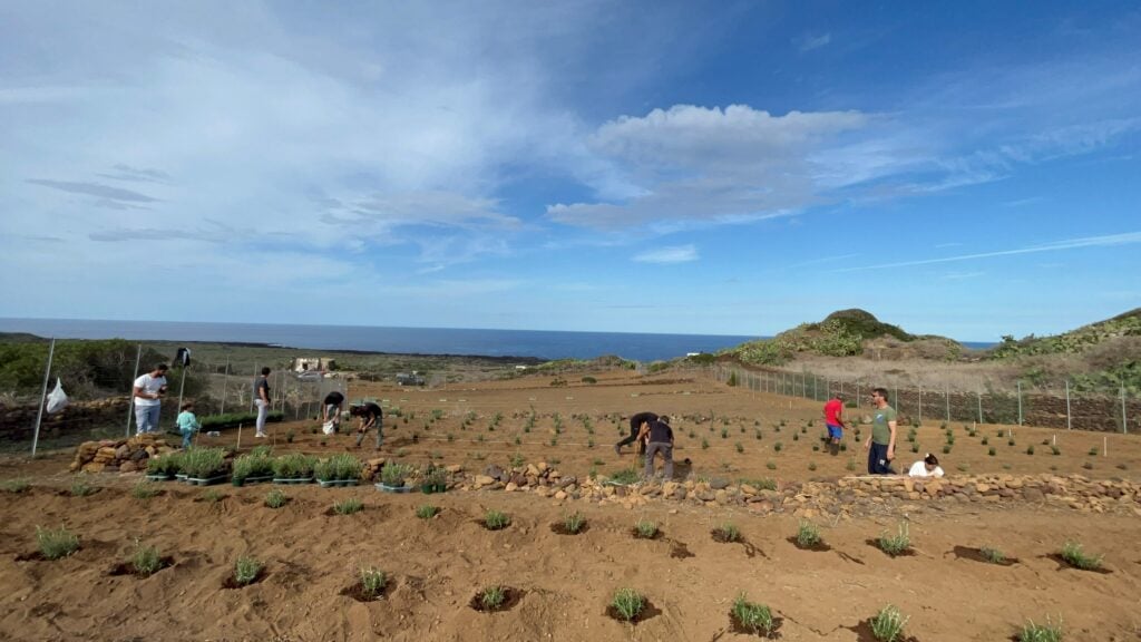 Linosa, Progetto biodiversità Nereidee. Crediti Fondazione Sanlorenza
