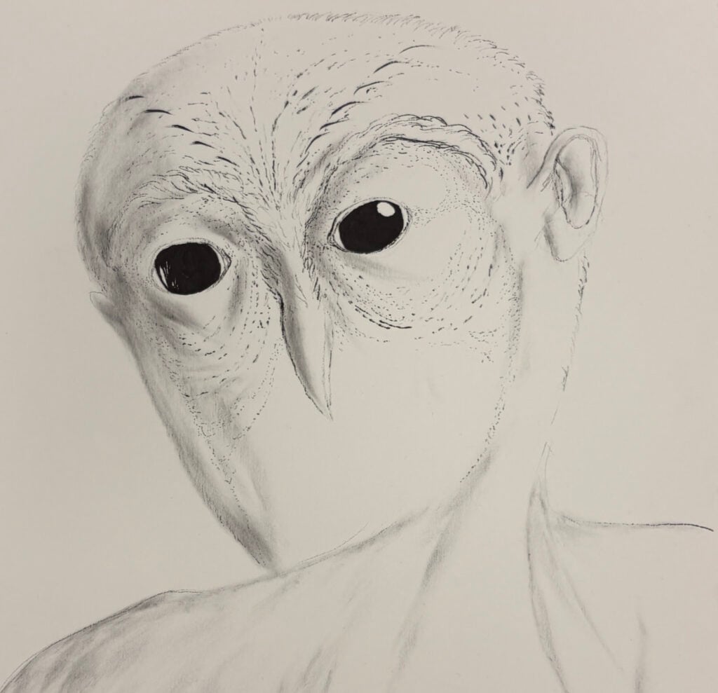 Luca Gioacchino Di Bernardo – La notte