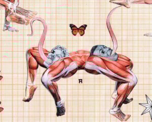 Pasquale De Sensi - Lagado