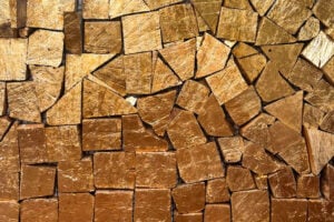 Mario Ceroli - l'ultima Utopia. Ceneri e germogli cronache dal Presente