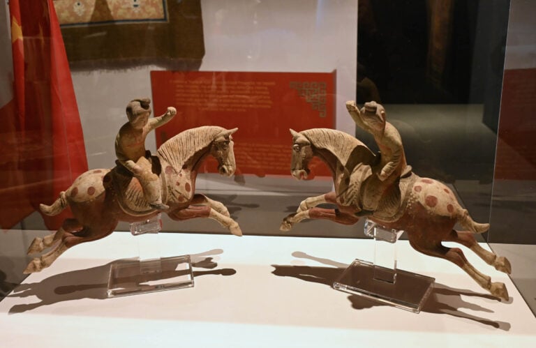 Le trame del dragone. Tappeti cinesi delle dinastie imperiali, installation view at MITA, Brescia