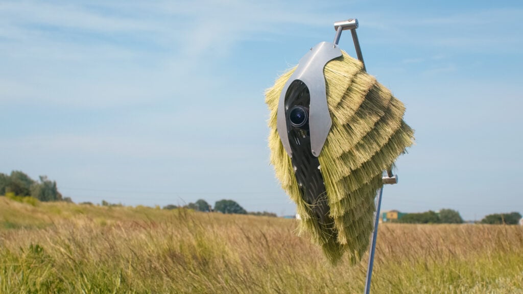 Nobody Told Me (Rivers Dream). Credit: Superflux