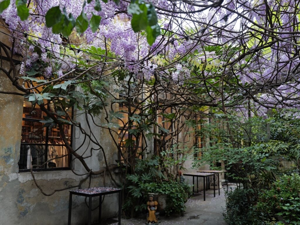 Pic Nic A Le Vasche Di Ciù Peppì