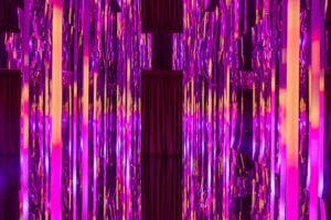 I produttori di vino Pasqua puntano sull’arte. L’artista Sara Ricciardi racconta il progetto per Verona 