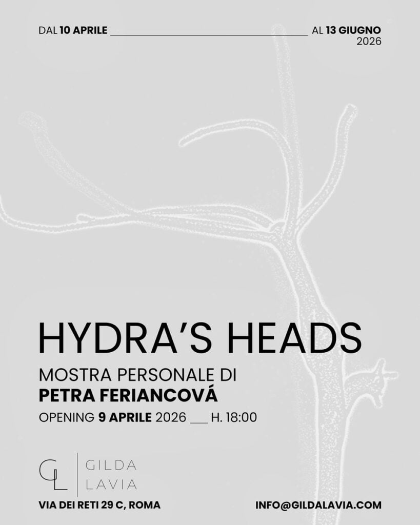 Petra Feriancová – Hydra’s heads