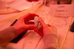 Mercante in Fiera però con l’arte. A Milano nasce l’Art Edition del popolare gioco di società