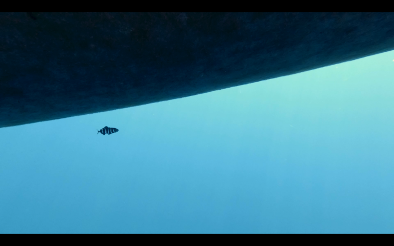 Luca Vitone Pro tempore (teaser) 2021 video full HD stereo, 3'15" Courtesy l'artista; Galerie Rolando Anselmi, Roma; Galerie Nagel Draxler, Berlin-K&ouml;ln-M&uuml;nchen; Galerie Michel Rein, Paris-Bruxelles