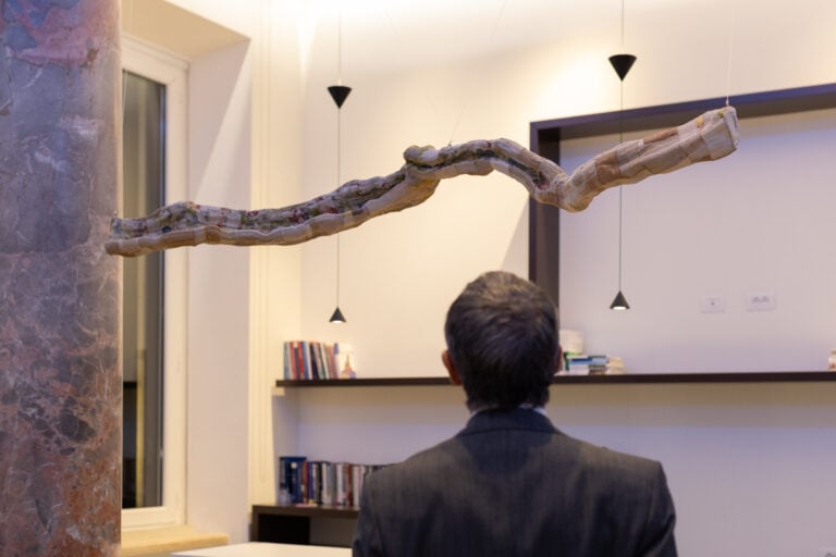 Sidival Fila, ST 01, Branches (serie). Ph: Sara Nicodemi