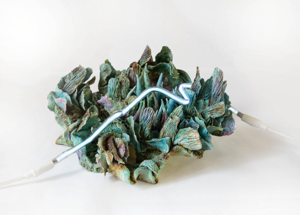 Silvia Mariotti – Almas de Cristal. Anime di Cristallo