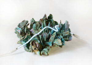 Silvia Mariotti - Almas de Cristal. Anime di Cristallo