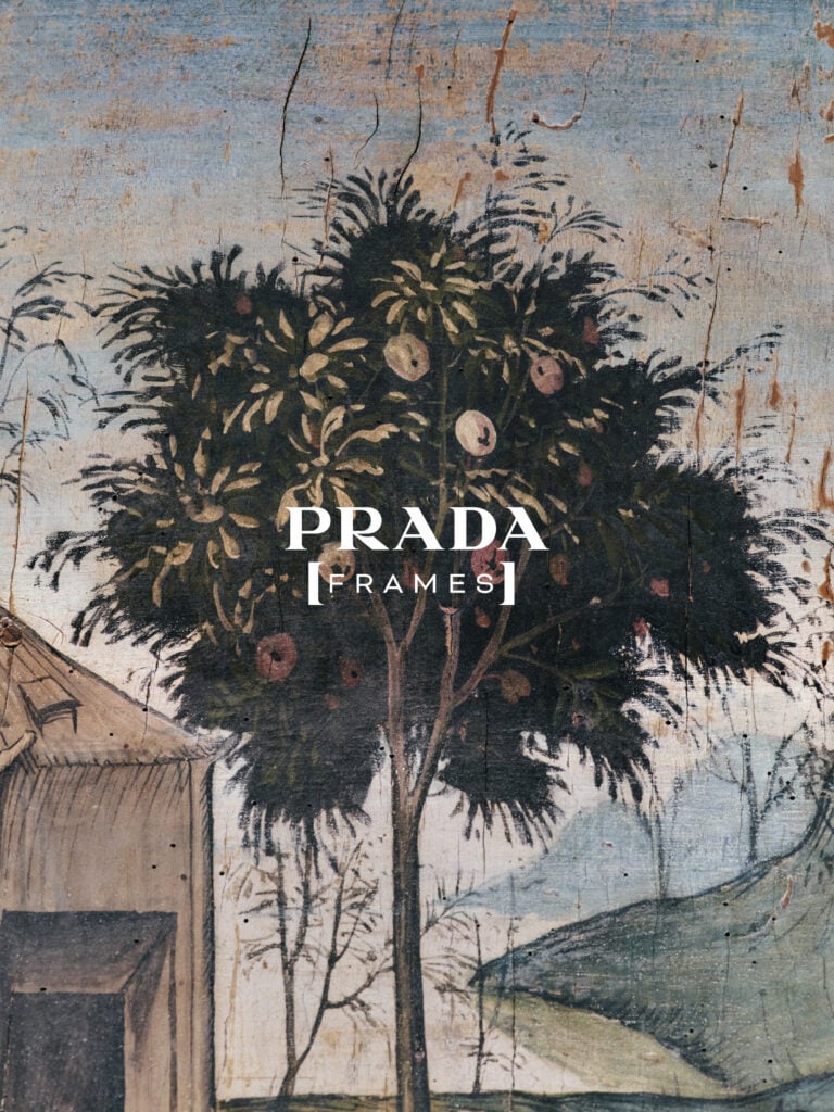 Prada Frames – In Sight