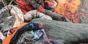 61. Biennale Arte - Margaret Whyte