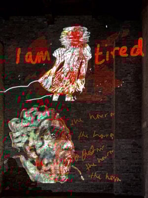 Nalini Malani – Of Woman Born Kiran Nadar Museum of Art