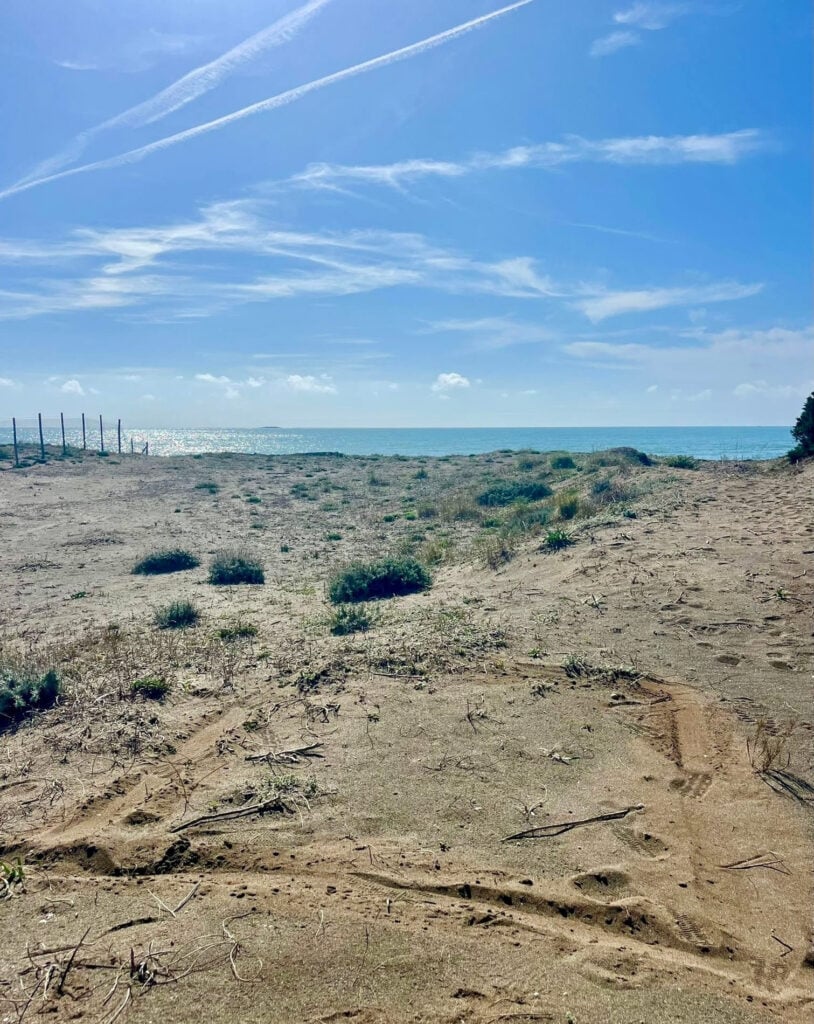 Luca Bertolo – Osservatorio M1