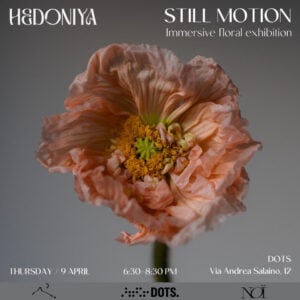 Hedoniya - Hedoniya Floristry