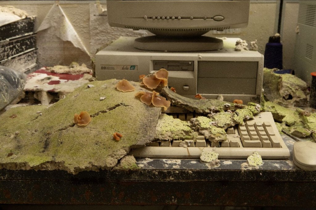 Marzia Migliora – Made in Italy