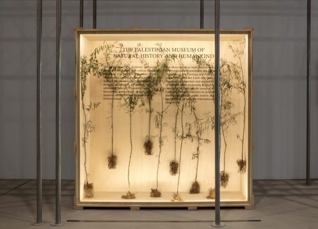 Gaza il futuro ha un cuore antico. Materie e memorie del Mediterraneo