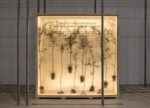 Gaza il futuro ha un cuore antico. Materie e memorie del Mediterraneo