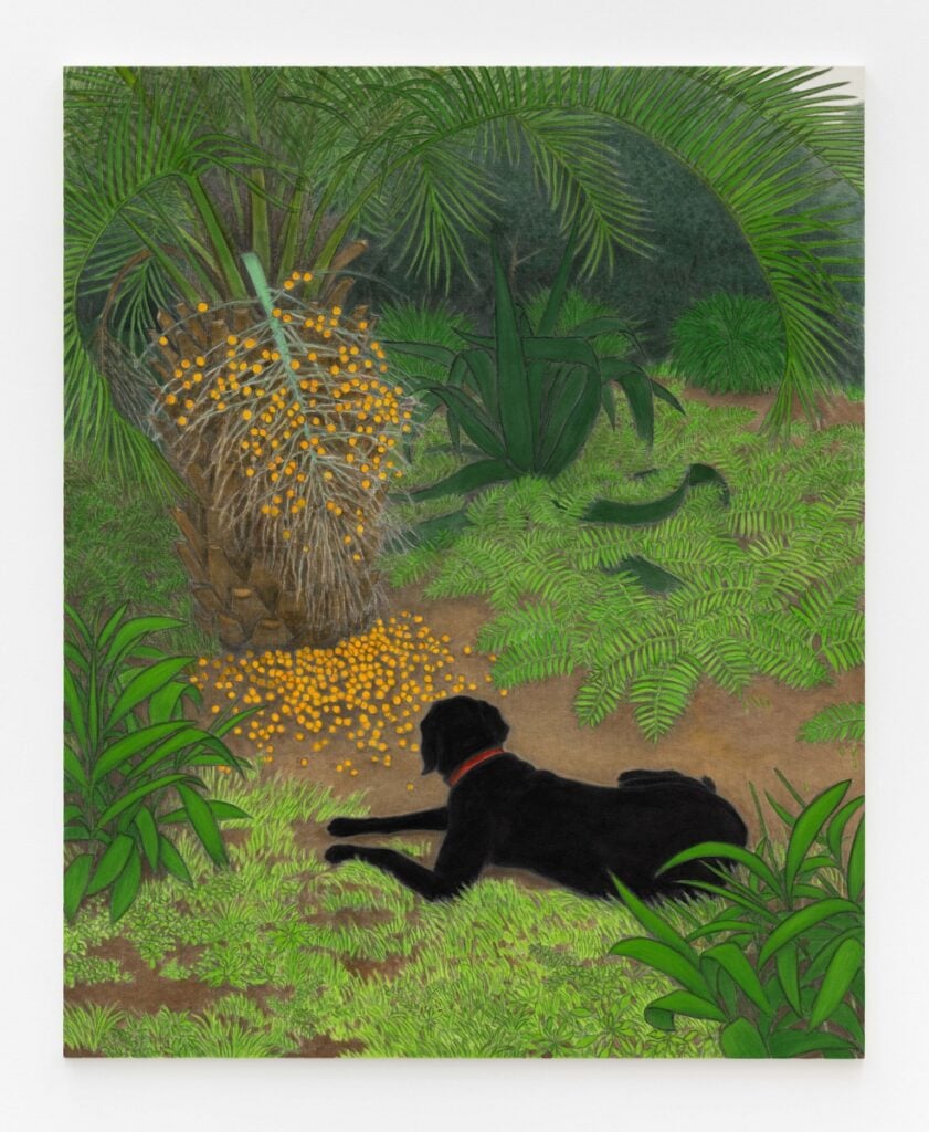 Bohie | Campanini | Fattal