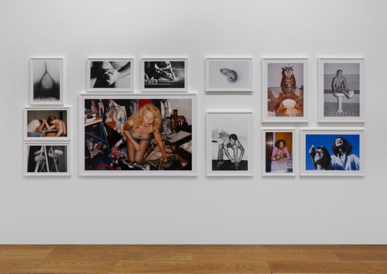 Le nuove mostre della Pinacoteca Agnelli e le nuove opere pubbliche sulla pista-parco del Lingotto: le foto