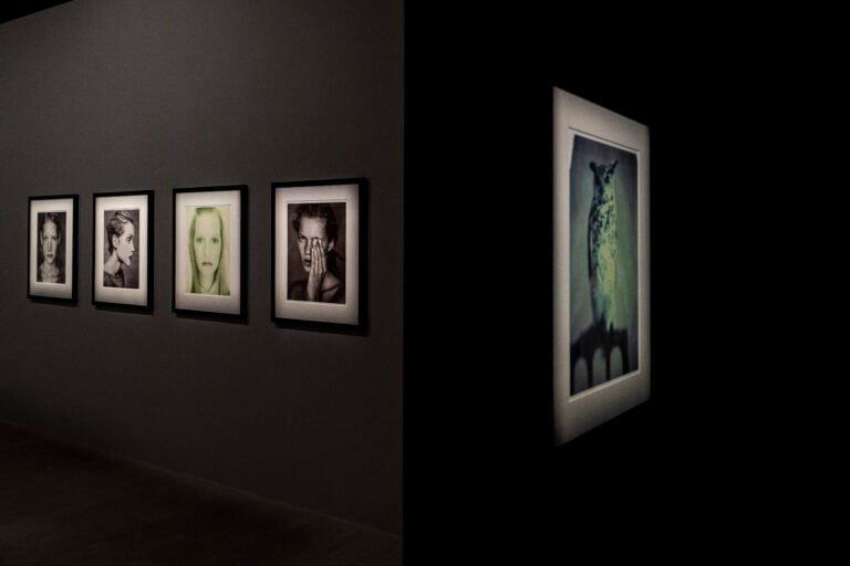 Galleria Paolo Roversi - MAR. Photo Alessandro Levati