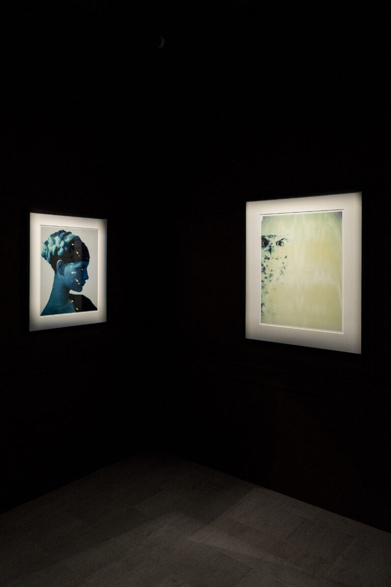 Galleria Paolo Roversi - MAR. Photo Alessandro Levati