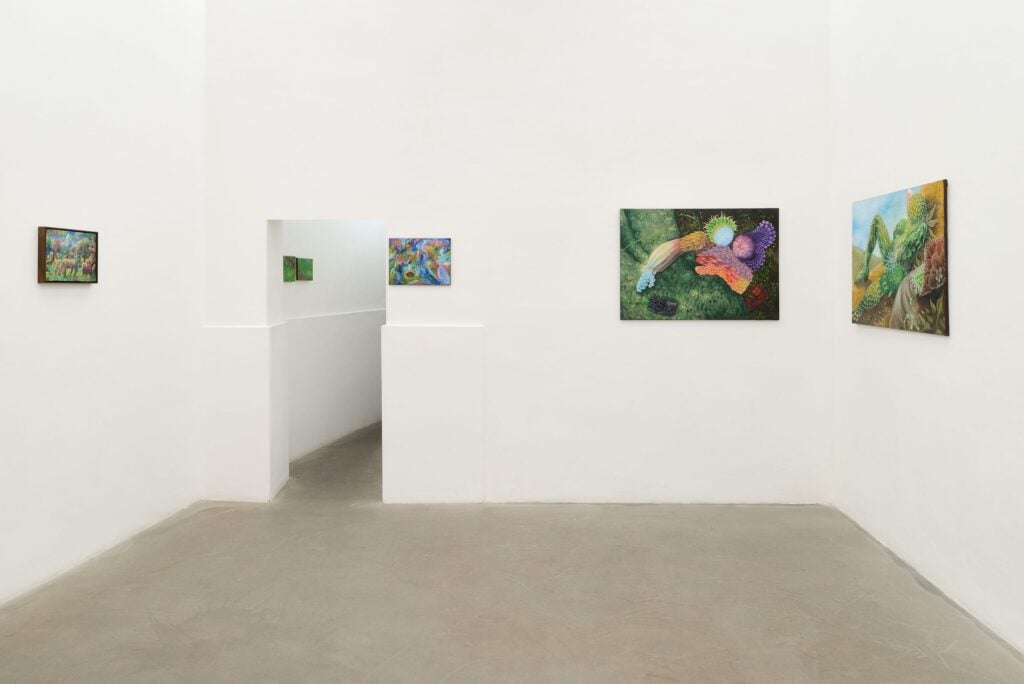 Floralia, Diego Gualandris, galleria ADA, Roma, 2026. Ph: Roberto Apa