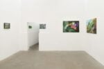 Floralia, Diego Gualandris, galleria ADA, Roma, 2026. Ph: Roberto Apa