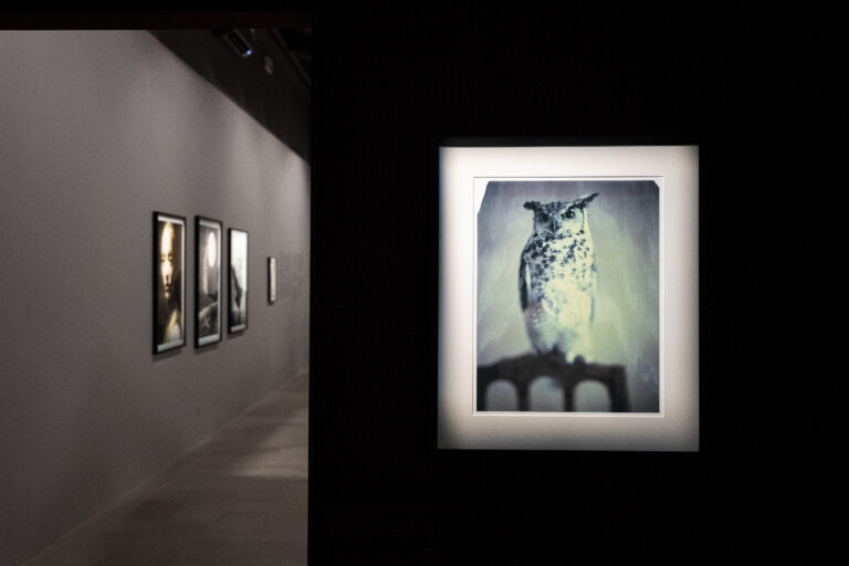 Galleria Paolo Roversi - MAR. Photo Alessandro Levati