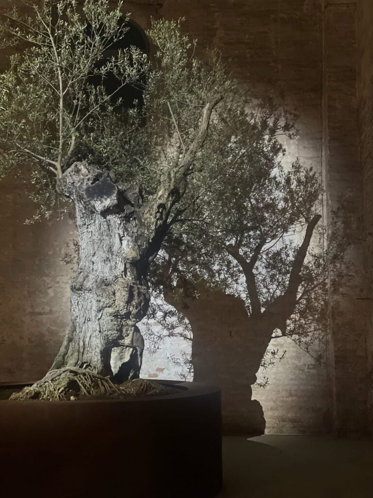 Intervista per scoprire Theo&nbsp;Eshetu, unico artista italiano alla Biennale di Venezia 2026&nbsp;