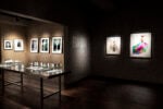 Galleria Paolo Roversi - MAR. Photo Alessandro Levati