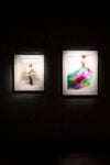 Galleria Paolo Roversi - MAR. Photo Alessandro Levati