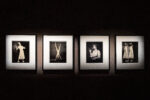 Galleria Paolo Roversi - MAR. Photo Alessandro Levati