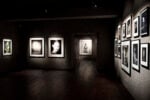 Galleria Paolo Roversi - MAR. Photo Alessandro Levati