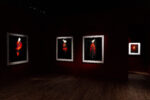 Galleria Paolo Roversi - MAR. Photo Alessandro Levati