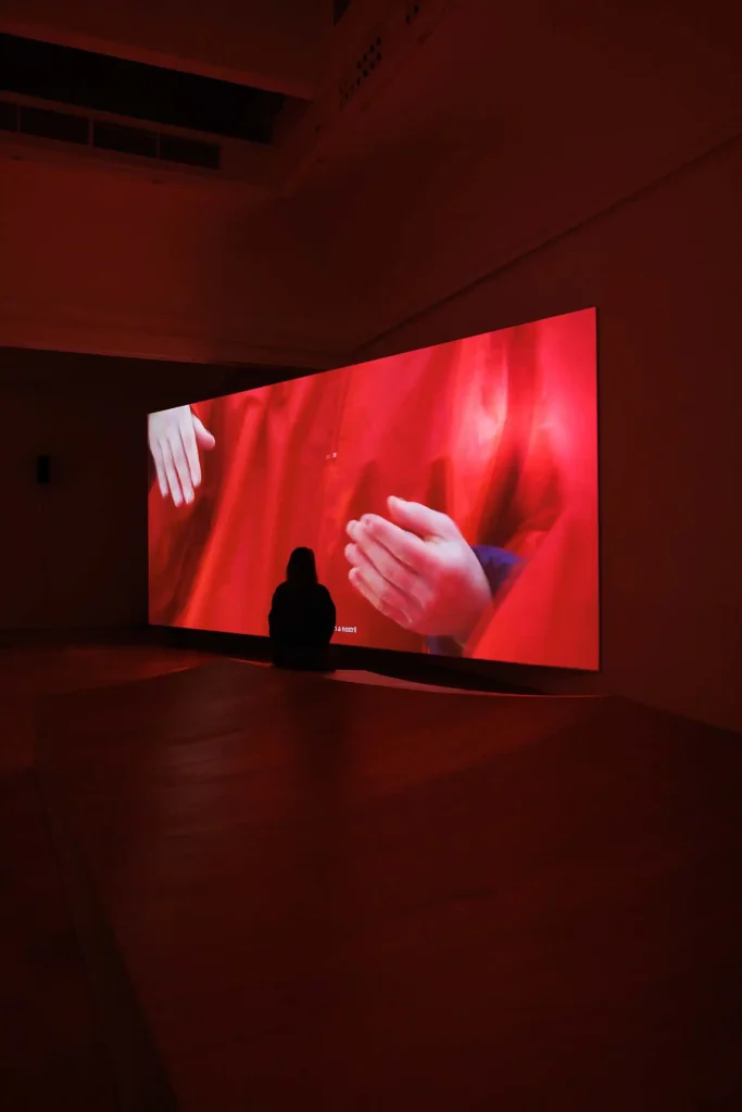 Il linguaggio oltre l’umano nel sorprendente Padiglione Polonia alla Biennale di Venezia 2026. L’intervista