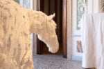 Il nuovo allestimento della Fondazione Querini Stampalia a Venezia &egrave; un gioco di arte combinatoria. Intervista alla direttrice Cristiana Collu