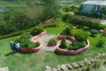 A Garden of Hope, installazione apothecary a Walkers Reserve, St. Andrew. Photo credit Walkers Reserve