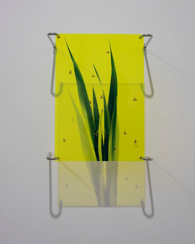 A Gentle Collapse, Andrea Nuovo Home Gallery, Installation View, Ph Amedeo Benestante