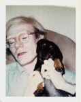Andy Warhol. Family Album, Whitney Museum of American Art, New York