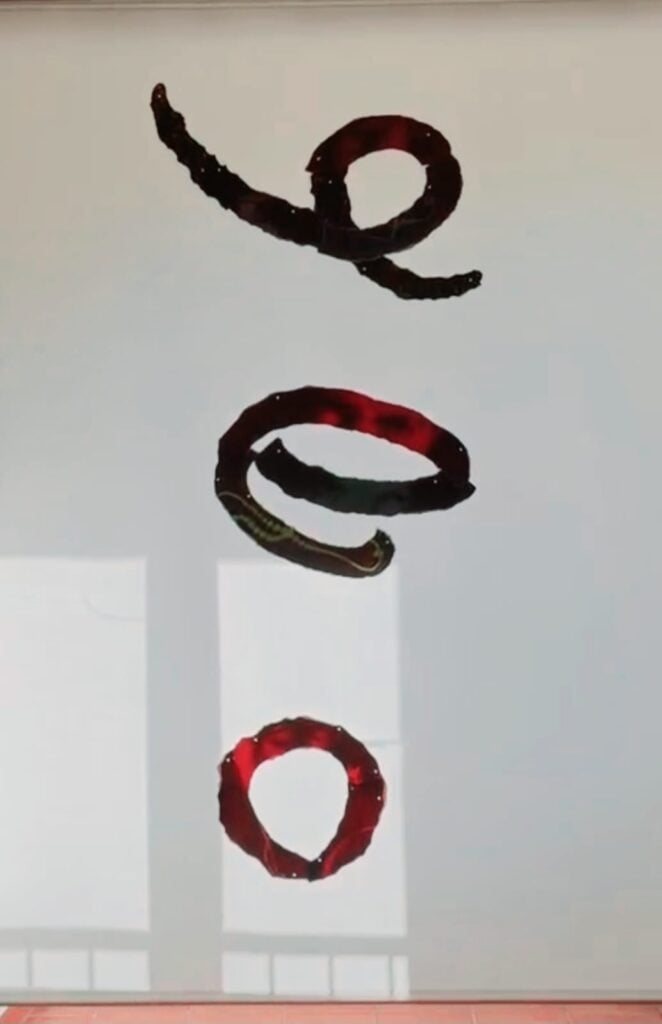 Annette Messager, Les variétés n. 31,33,34, 1979-80