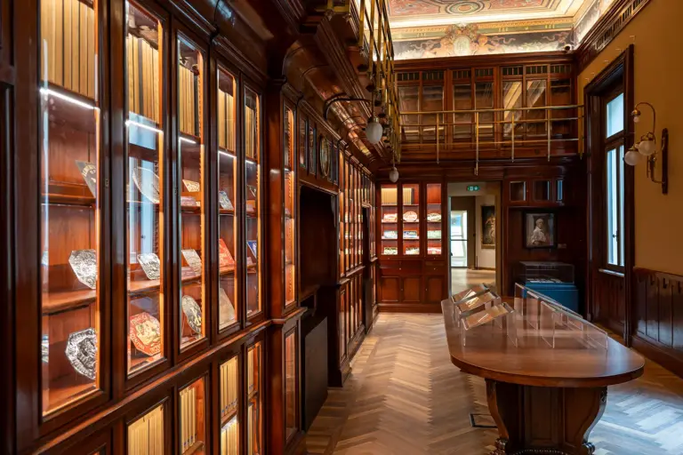 Biblioteca di Palazzo Marignoli