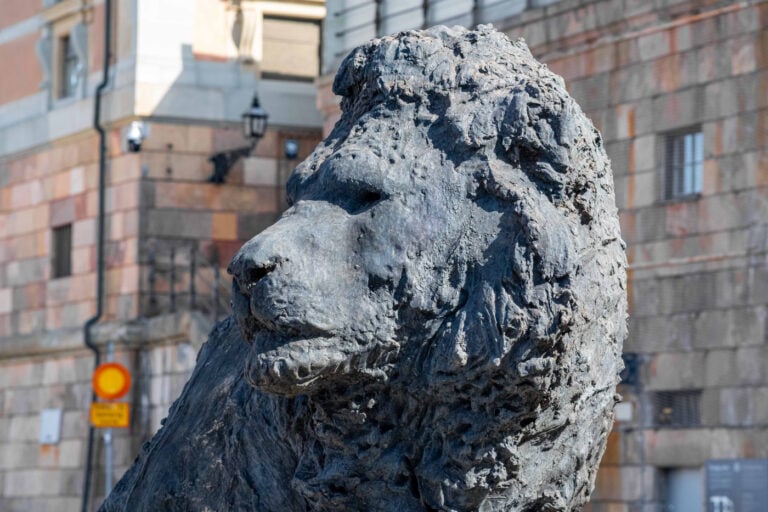 Davide Rivalta a Stoccolma