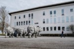Davide Rivalta a Stoccolma