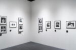 Toni Thorimbert, Donne in Vista, EXPOSED, CAMERA, Tornino &copy;Antonio Jordan, Installation view