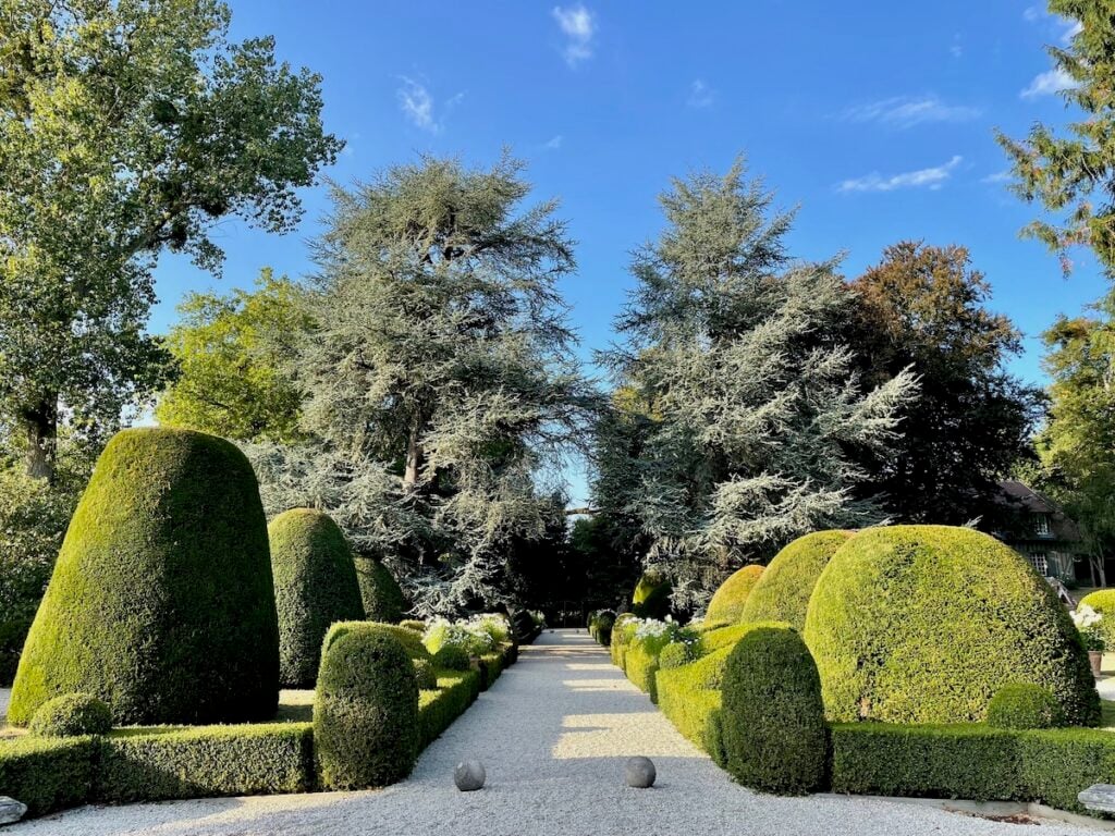Francia. Castello di Boutemont - Il viale dei cedri